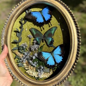 Blue Swallowtails in Gold Frame with Blue Florals