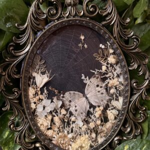 Real Preserved Spiderwebs in Antique Frame with Green Iridescent Mother of Pearl Butterfly