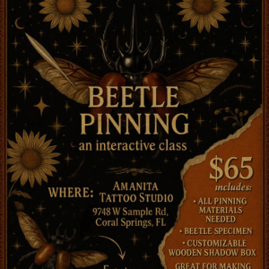 Beetle Pinning Class