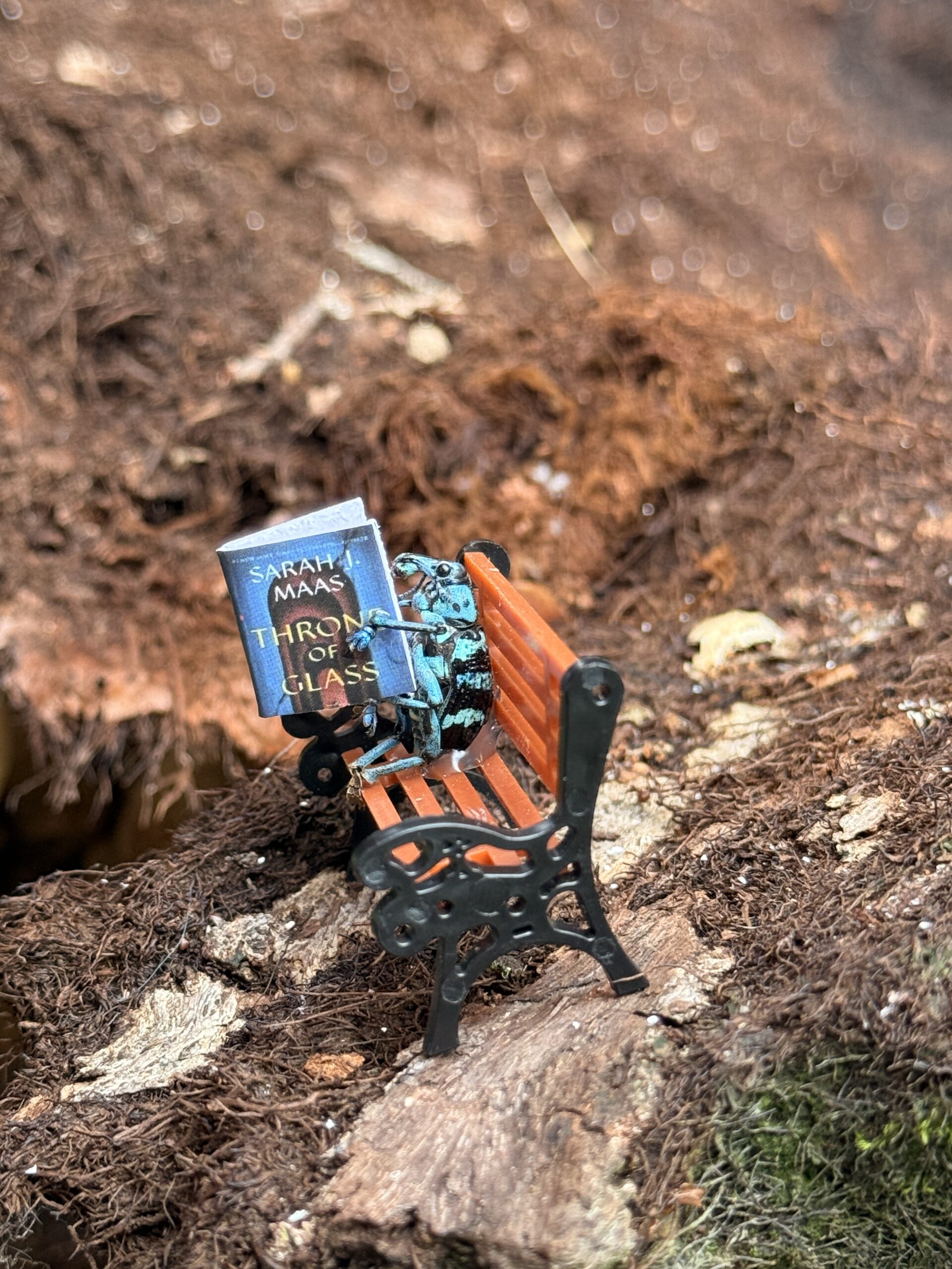 Tiny Throne of Glass - Image 3